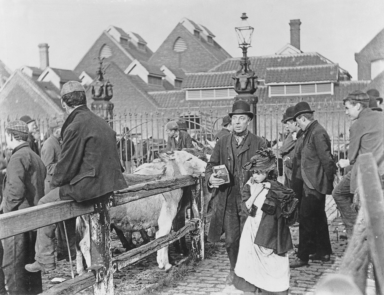 Britse dorpsveemarkt, Victoriaans, 19e eeuw (foto) door English School
