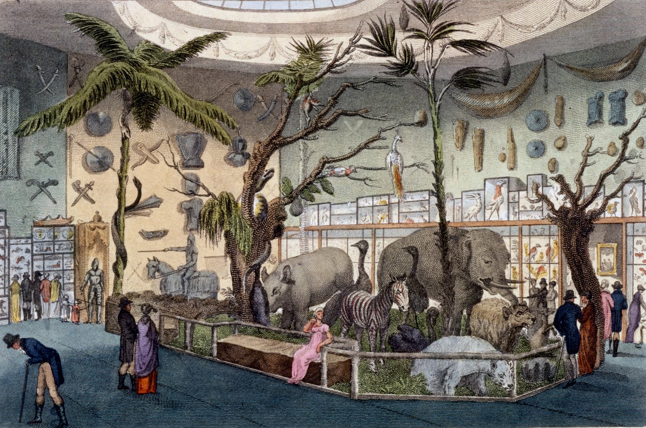 Bullocks Museum, 22 Piccadilly, Londen, uit Ackermanns Repository of Arts, 1809 door English School