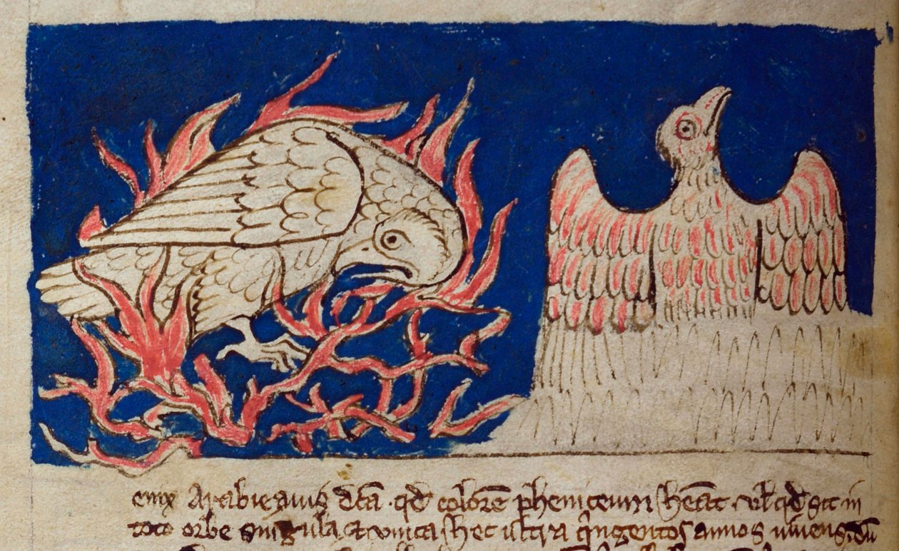 CCA-LitMs/D/10 fol. 17v Feniks, uit Bestiarium door English School