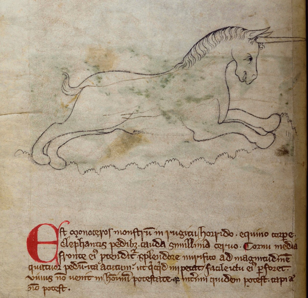 CCA-LitMs/D/10 fol. 2v Eenhoorn, uit Bestiarium door English School