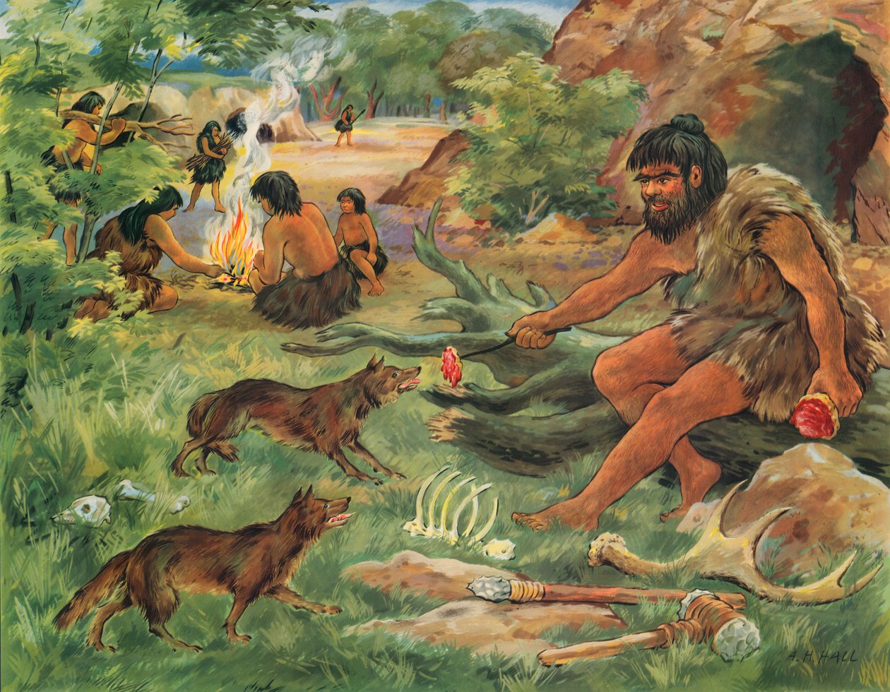 Holbewoner sluit vriendschap met een jonge wolf (kleurenlitho) door English School