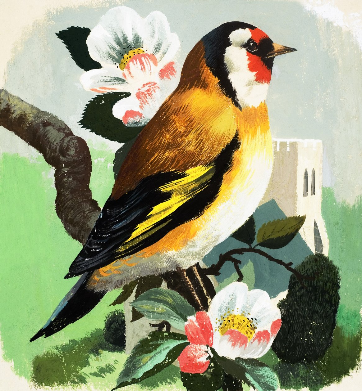 Vink (gouache op papier) door English School