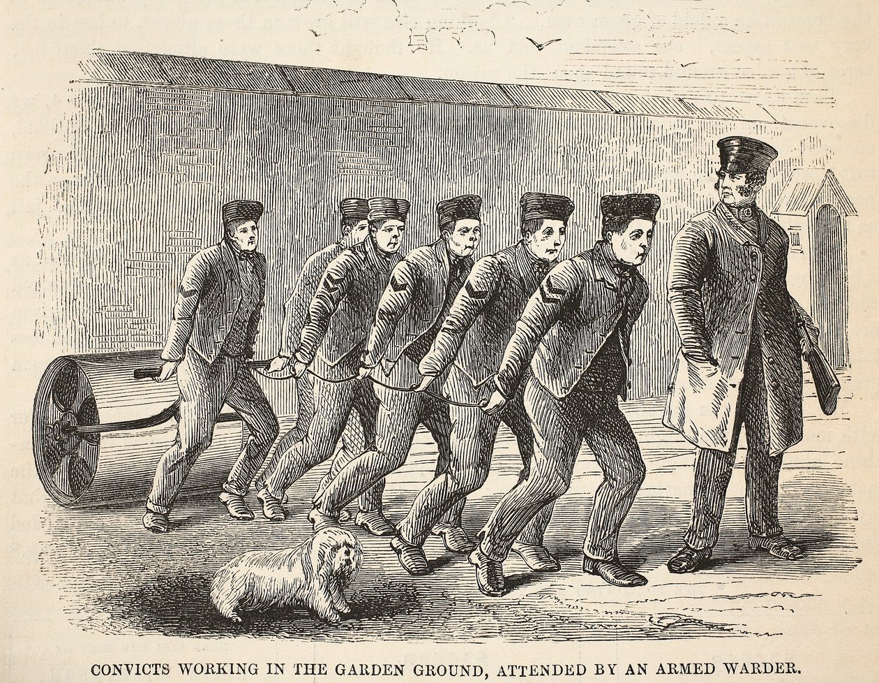 Gevangenen aan het werk in de tuin, begeleid door een gewapende bewaker, illustratie uit The Criminal Prisons of London and Scenes from Prison Life door Henry Mayhew en John Binny, uitgegeven in 1862 door English School