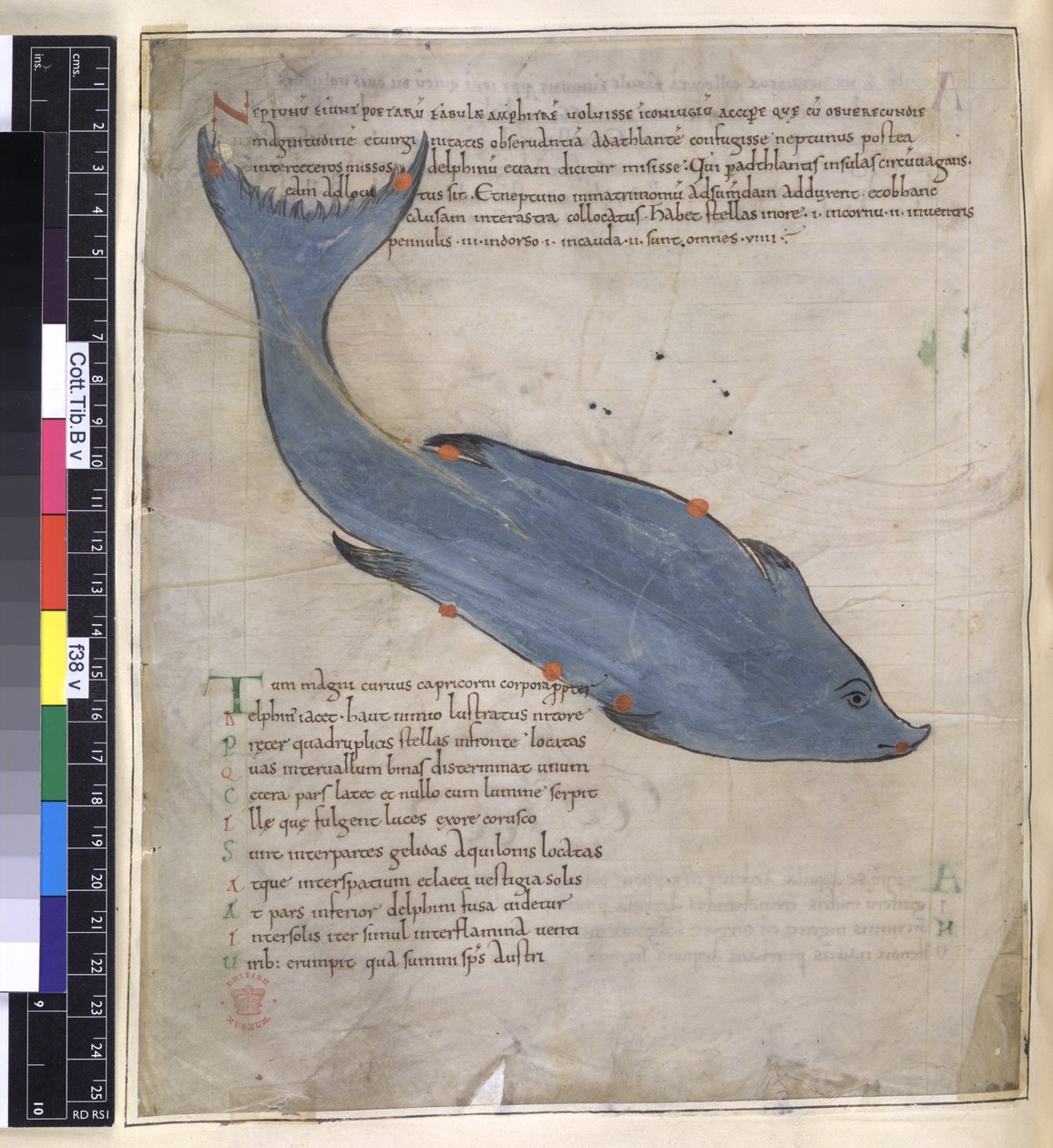 Het sterrenbeeld Delphinus uit 