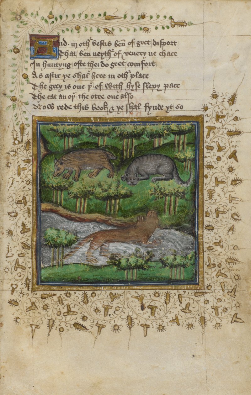 Illustratie van een das, wilde kat en otter; met vers, uit een 