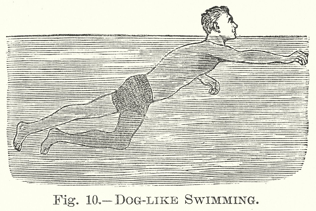 Hond-achtig zwemmen (gravure) door English School