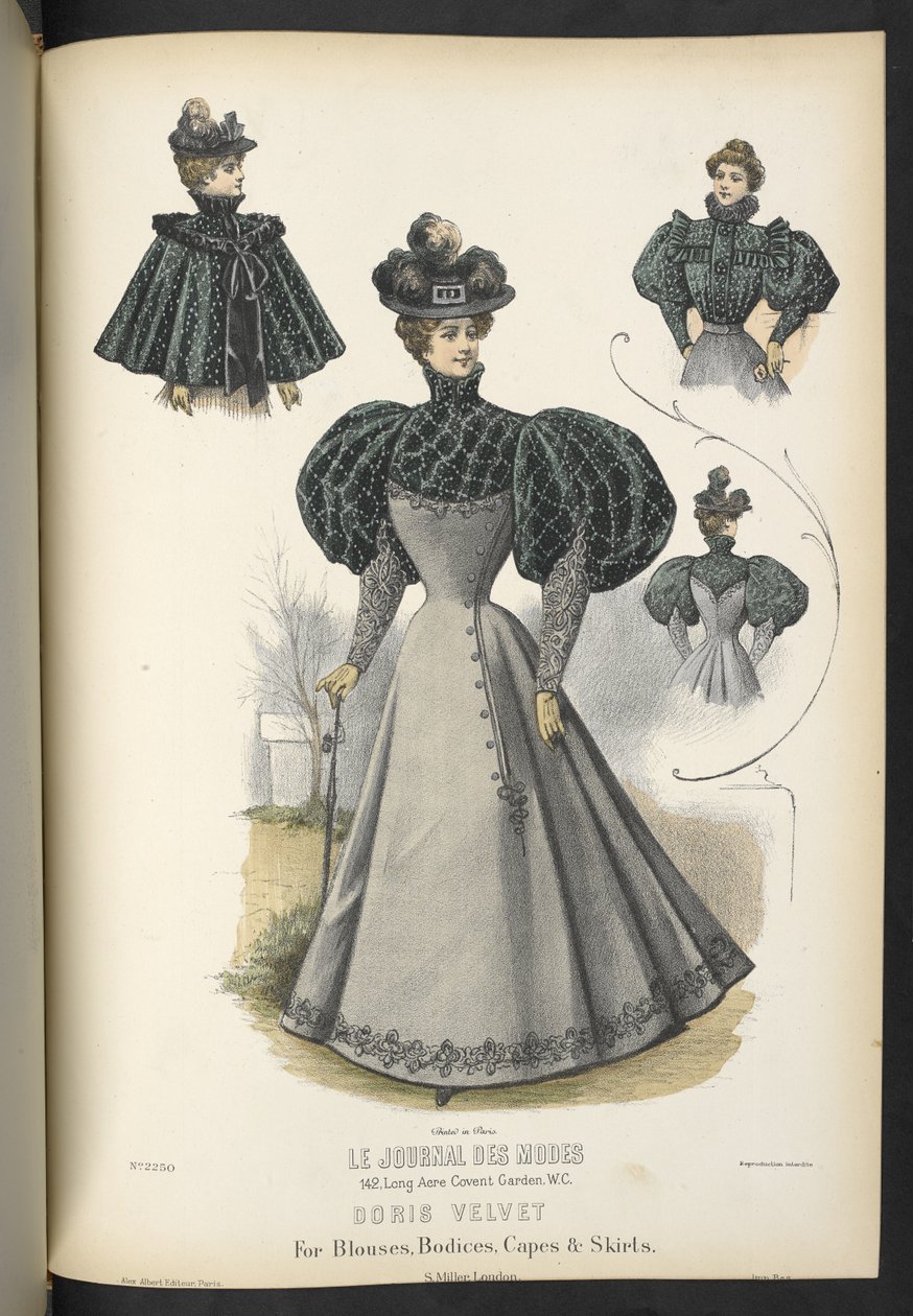 Doris fluweel, voor blouses, lijfjes, mantels en rokken, Plate 2250, Doris fluweel voor blouses, lijfjes, mantels en rokken, The Dressmaker and Milliner, 1895 door English School