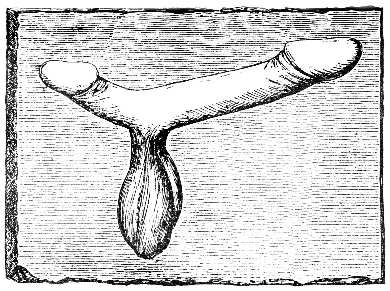 Dubbele phallus van de bovendorpel van een vomitorium (uitgangspassage) bij het amfitheater van Nîmes (Colonia Nemausus) door English School