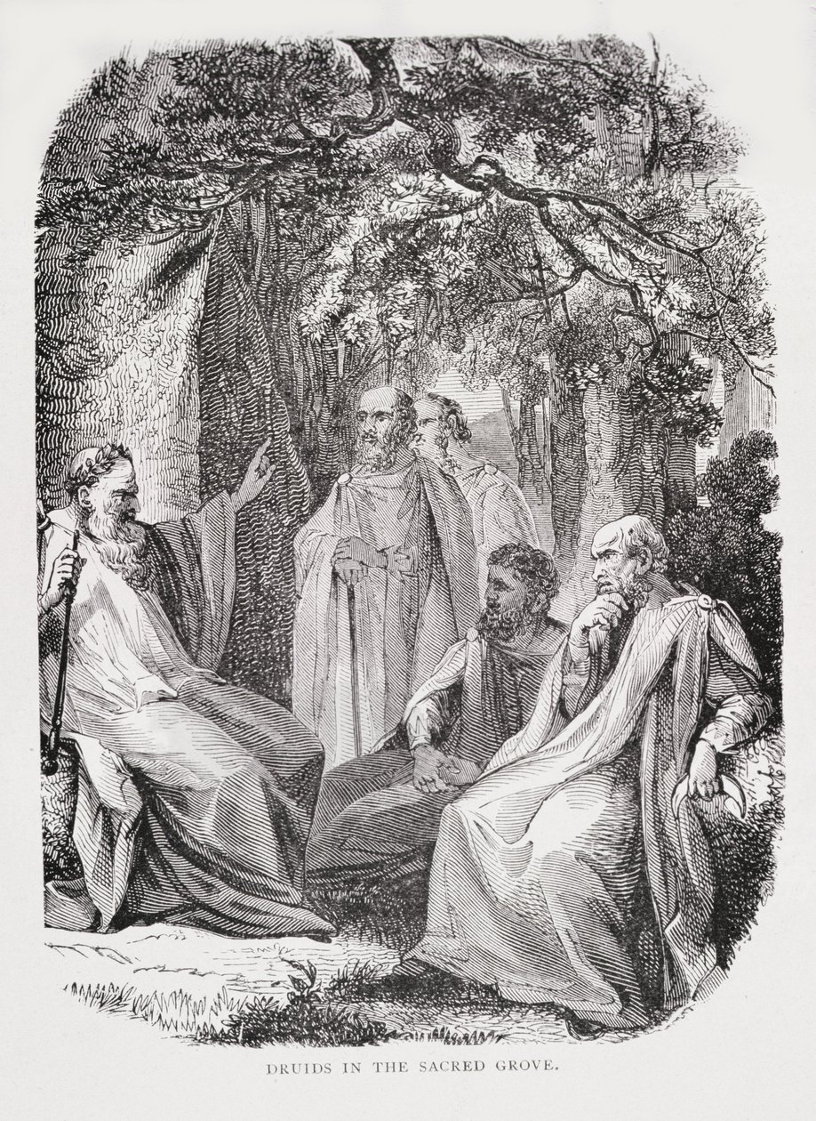 Druïden in het Heilige Woud, uit De Geschiedenis van Frankrijk, door Emile de Bonnechose, uitgegeven door Ward, Lock en Co, Londen door English School