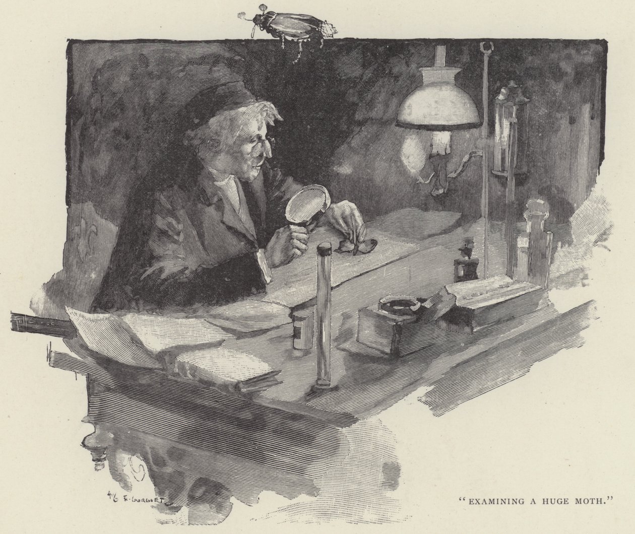 Onderzoek van een enorme mot (gravure) door English School