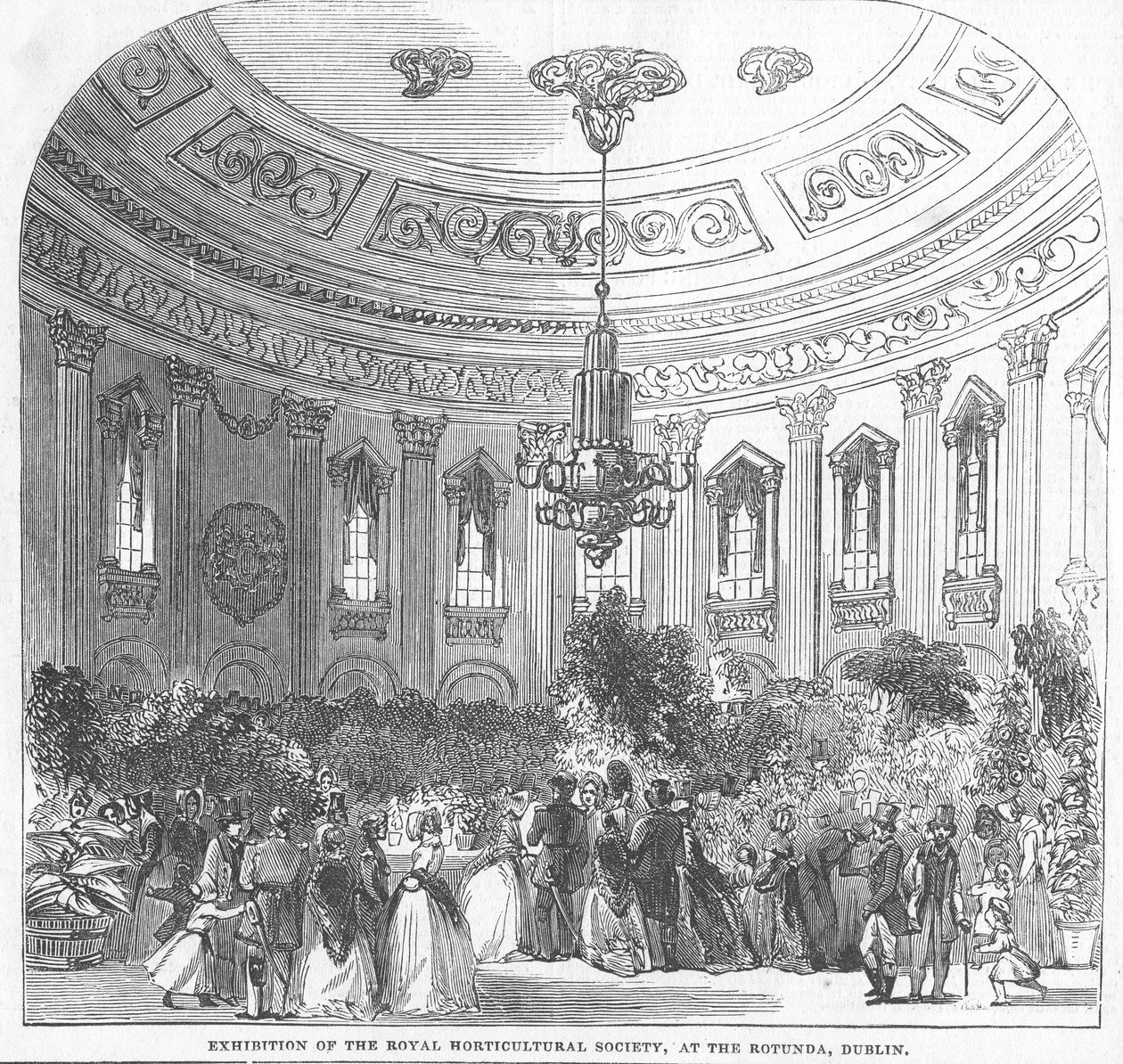 Tentoonstelling van de Royal Horticultural Society, in de Rotunda, Dublin, illustratie uit 