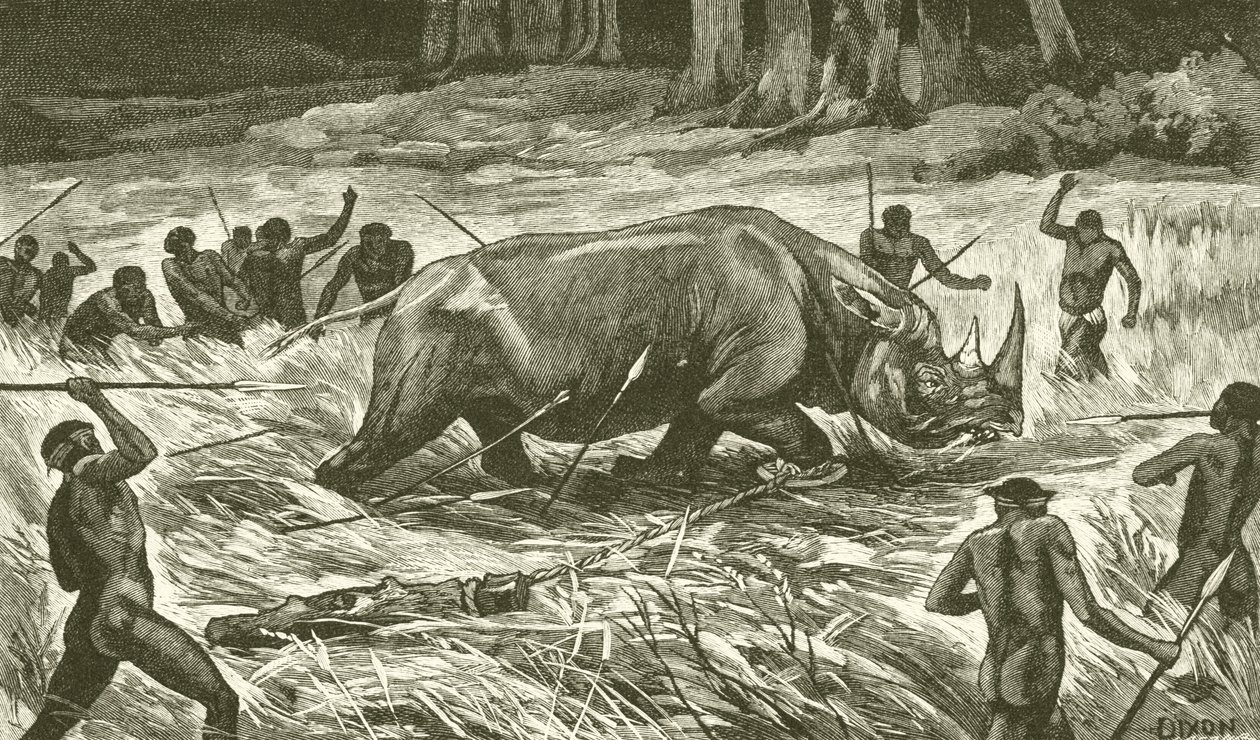 De losgesnoerde neushoorn volgen (gravure) door English School