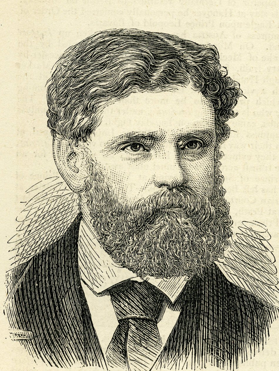 Francis Edmund Anstie (1833-74) Illustratie door English School