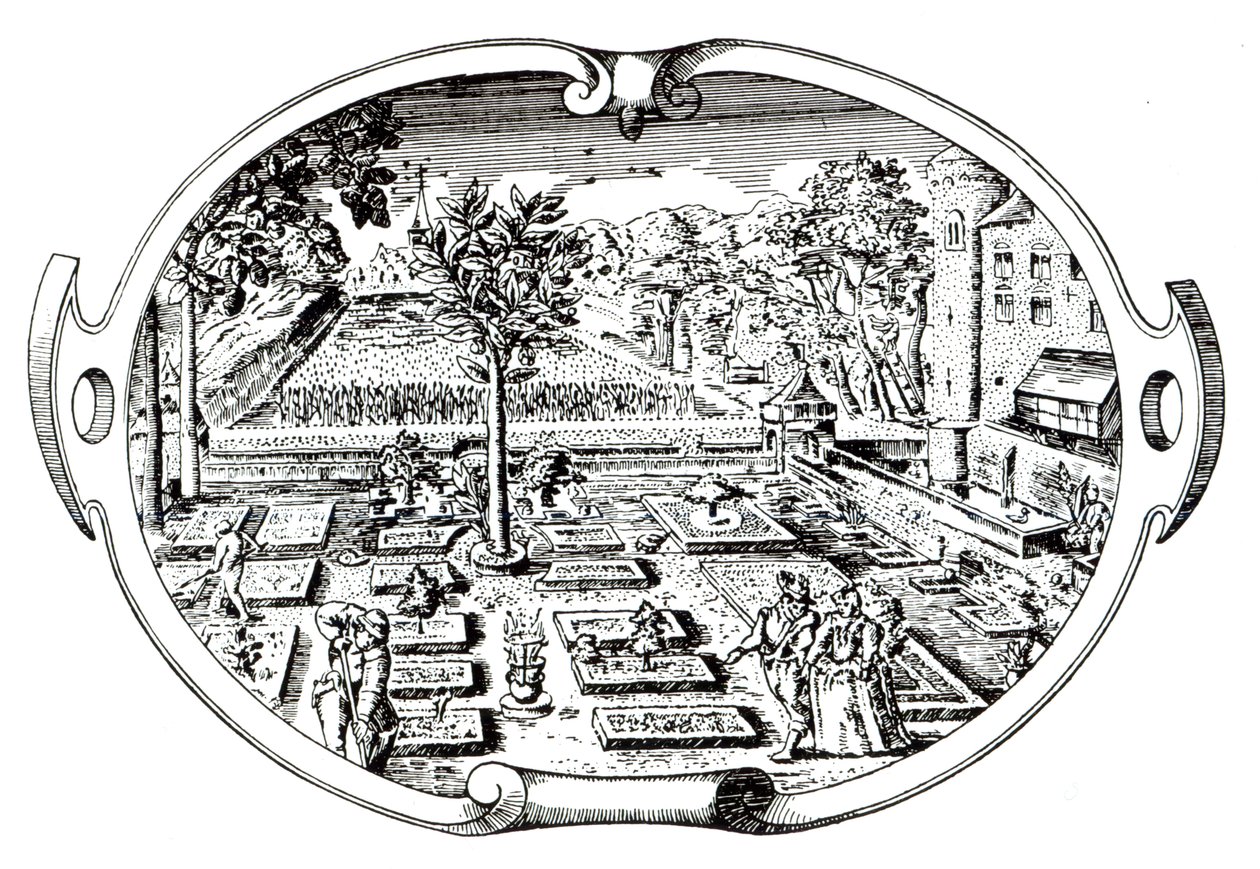 Frontispice, uit The Herball, door John Gerard (1545-1607), gepubliceerd 1597 door English School