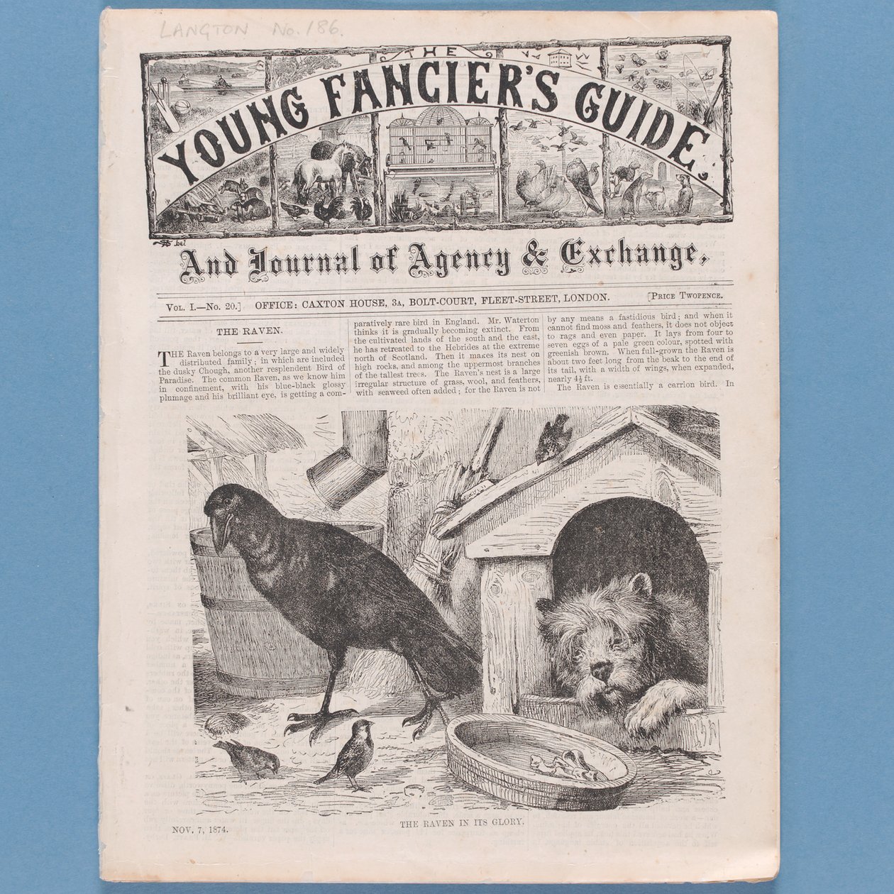 Frontispice uit De Gids voor Jonge Liefhebbers, 1874 door English School