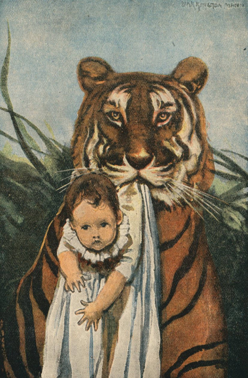 Goede tijger (kleurenlitho) door English School