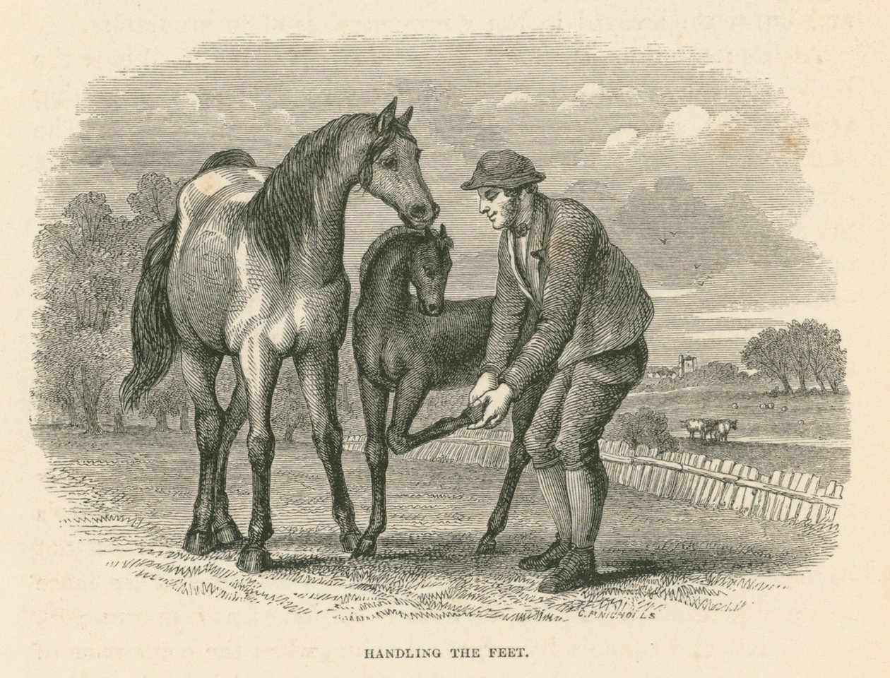 Omgaan met de voeten (gravure) door English School