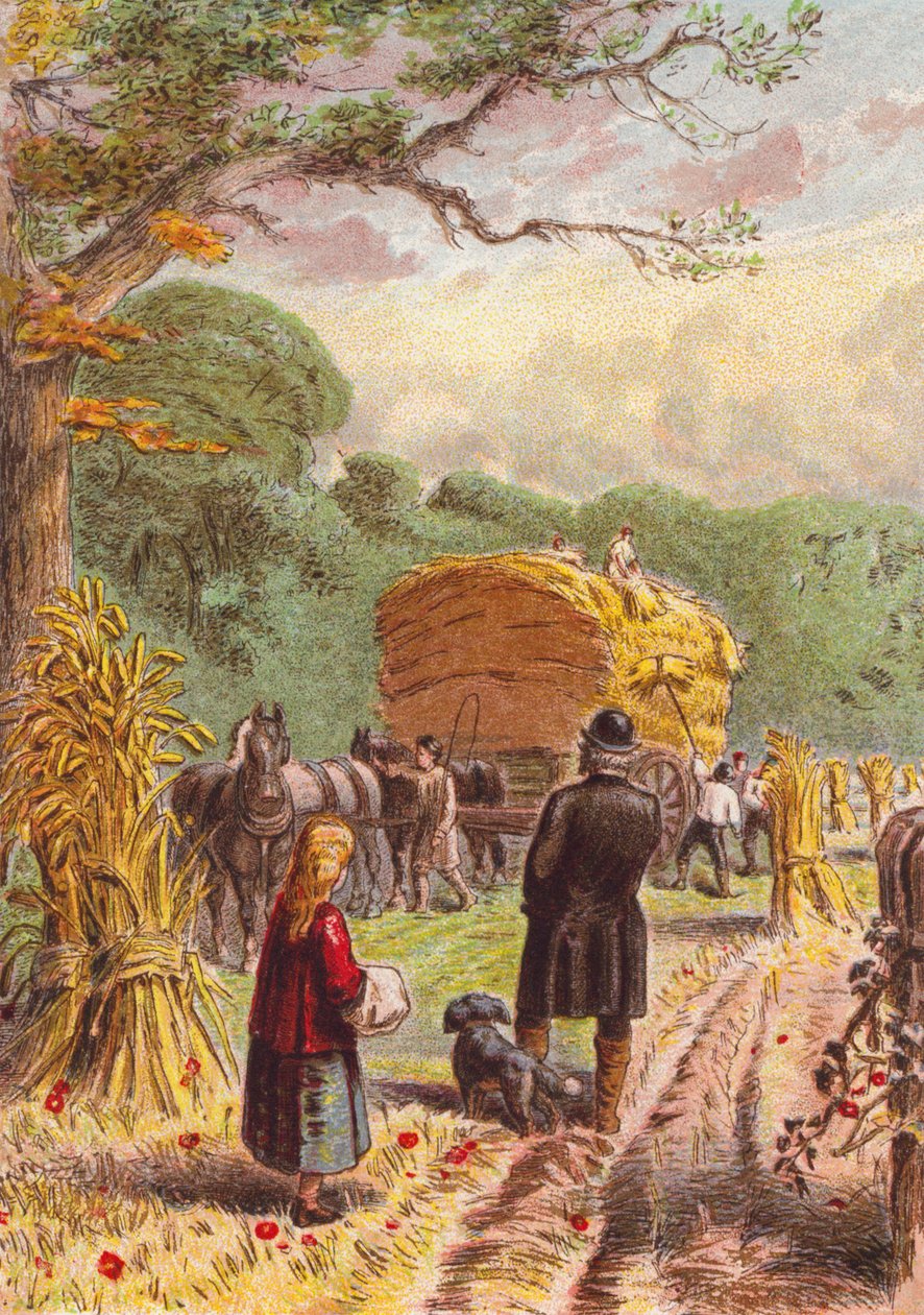 Oogsten in de velden (kleurenlitho) door English School
