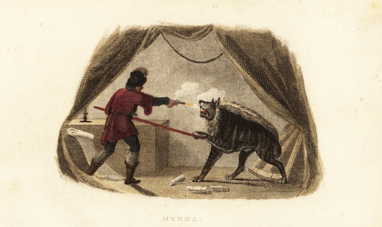 James Bruce doodt een hyena met pistool en speer in zijn tent in Maitsha, Abessinië (bij Gondar, Ethiopië) door English School