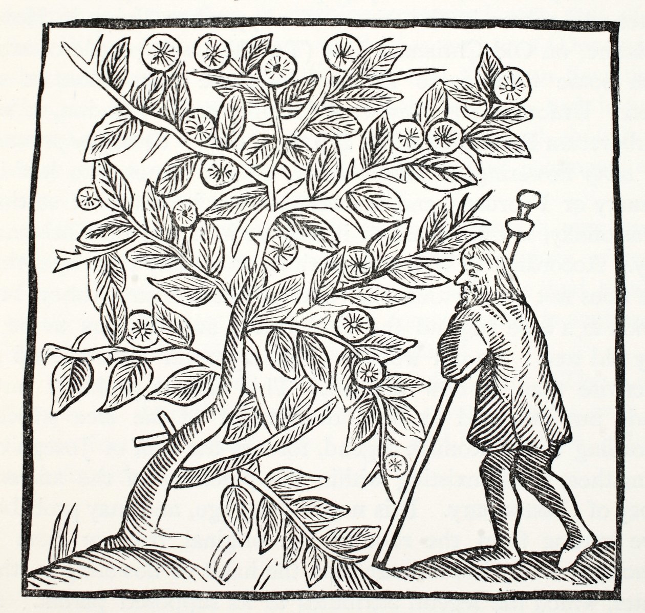 Jozef van Arimathea en de Glastonbury Doorn, illustratie uit Chap-books of the Eighteenth Century door John Ashton, gepubliceerd 1882 door English School