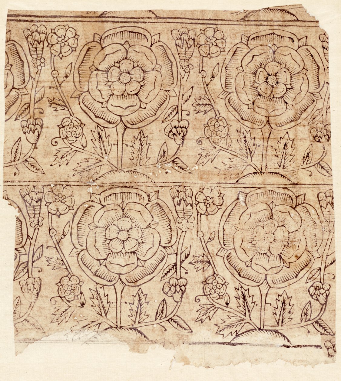 Bekledingspapier met een Tudor Roos patroon, ca. 1550 door English School