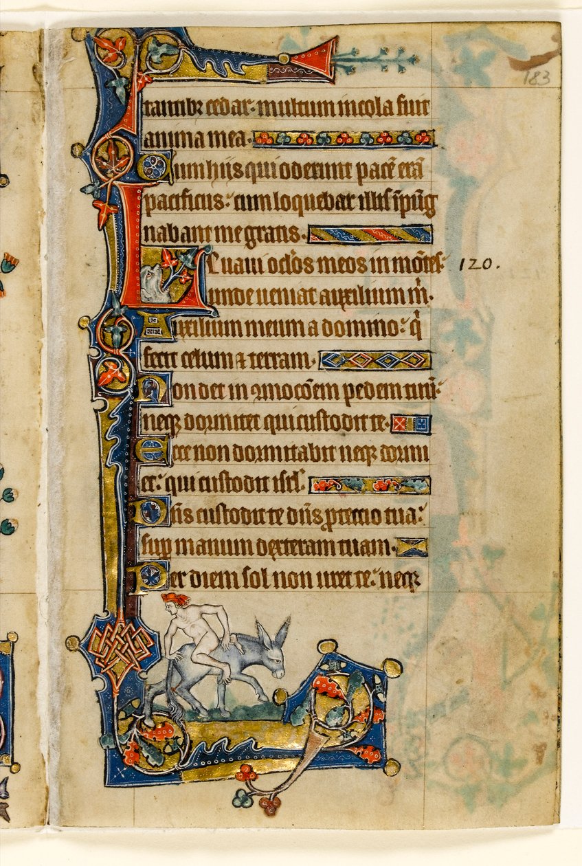 Een man die achteruit rijdt, marginale decoratie uit de Macclesfield Psalter, Gebruik van Sarum, Oost-Anglia, ca. 1330 door English School