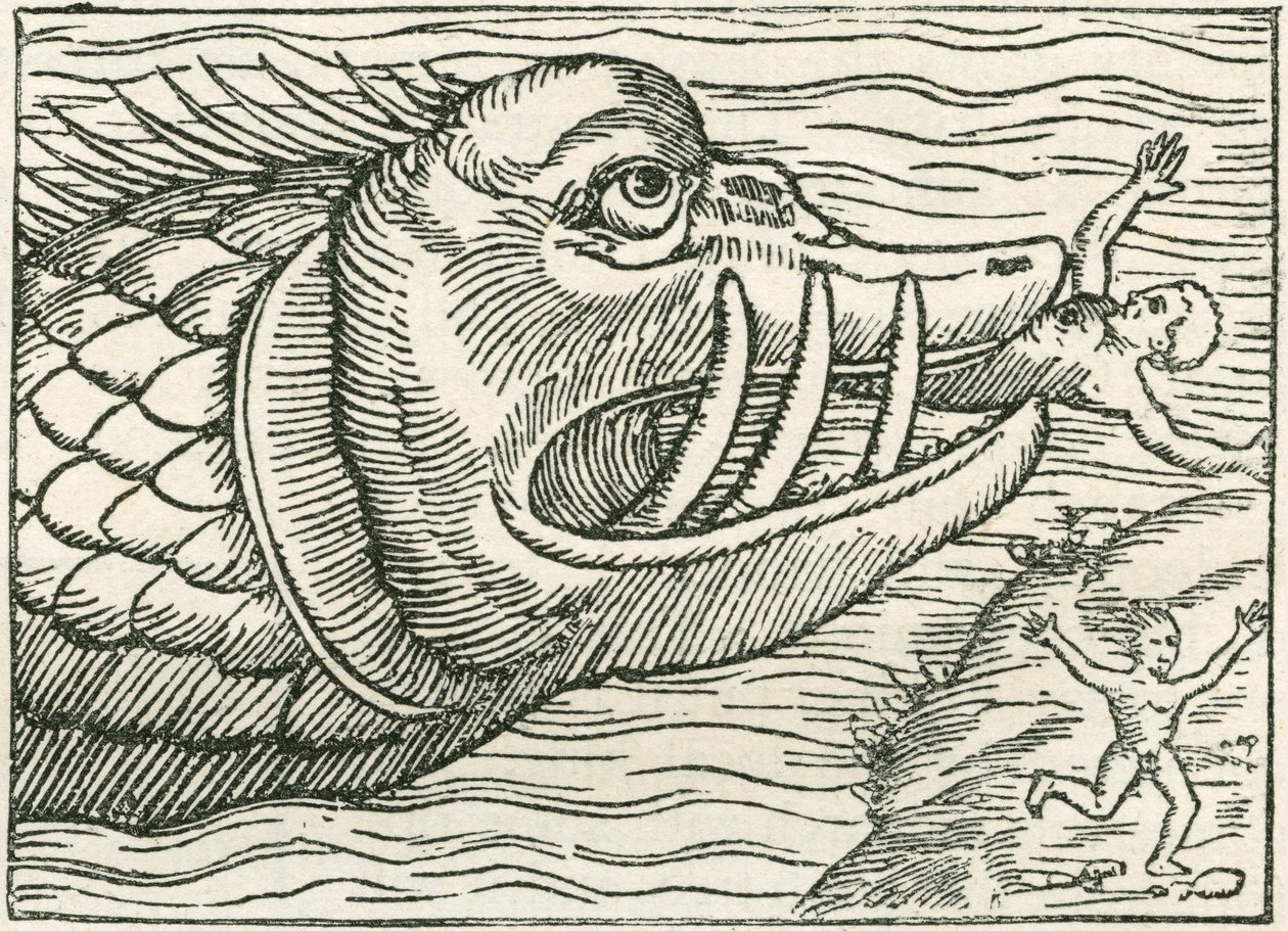 Man die wordt opgegeten door een zeeslang. Illustratie gevonden in de marge van een kaart gemaakt door Olaus Magnus door English School