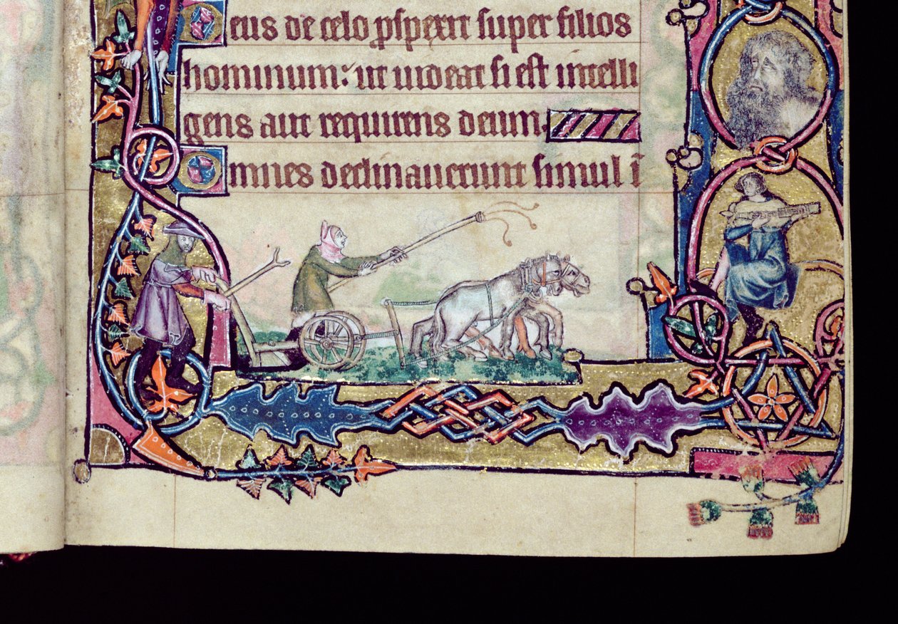 David en de dwaas, gehistorieerde initiaal uit de Macclesfield Psalter, Gebruik van Sarum, Oost-Anglia, c.1330 (detail) door English School
