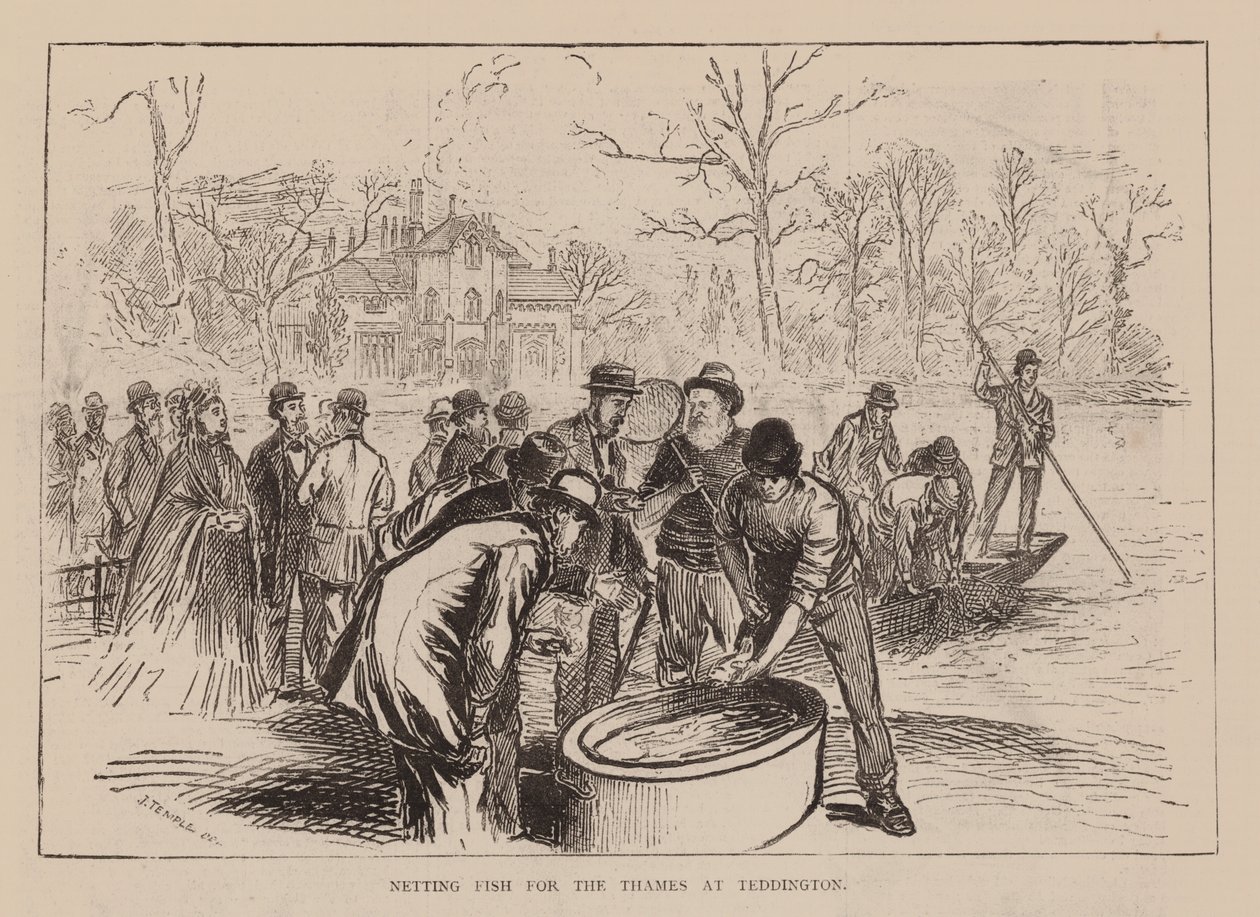 Visnet voor de Theems bij Teddington (gravure) door English School
