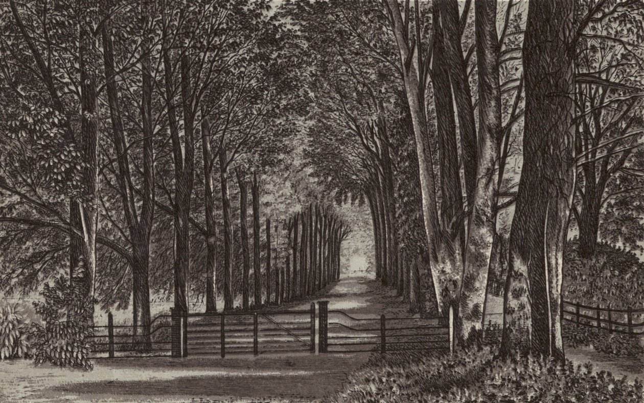 Newbury: Avenue, Highclere Park (litho) door English School