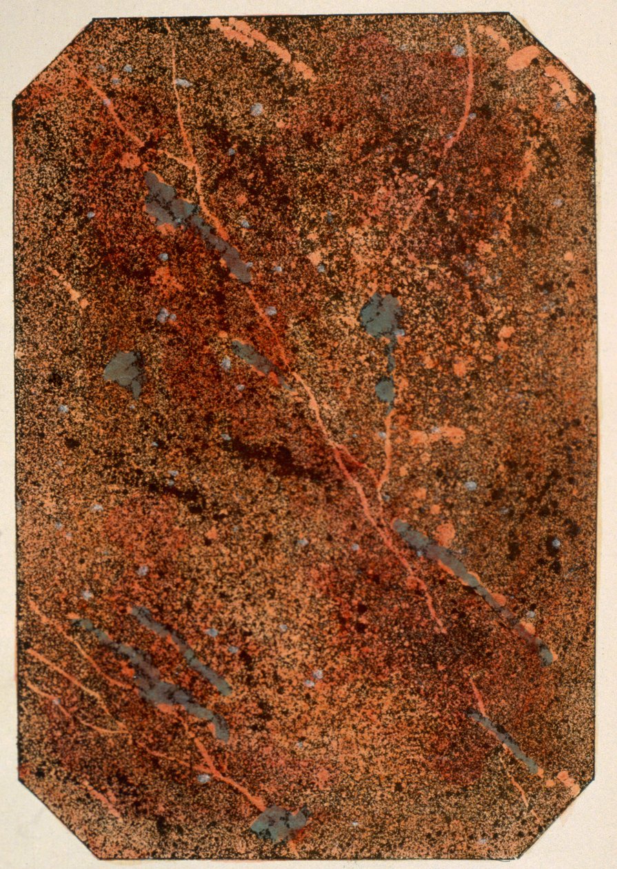 Pagina uit een Victoriaans patroonboek met marmeringseffecten, gepubliceerd 1880s door English School