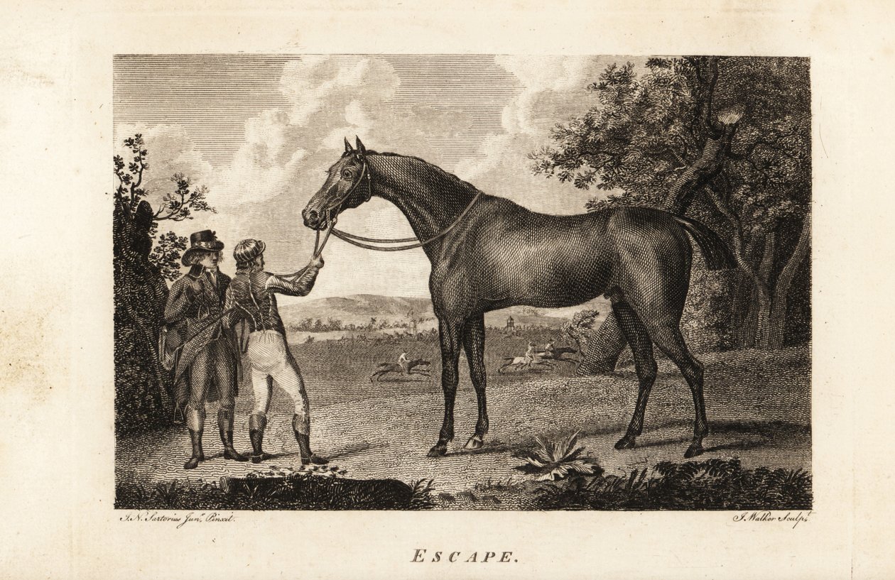 Portret van de beroemde volbloed racer Escape met jockey en trainer door English School