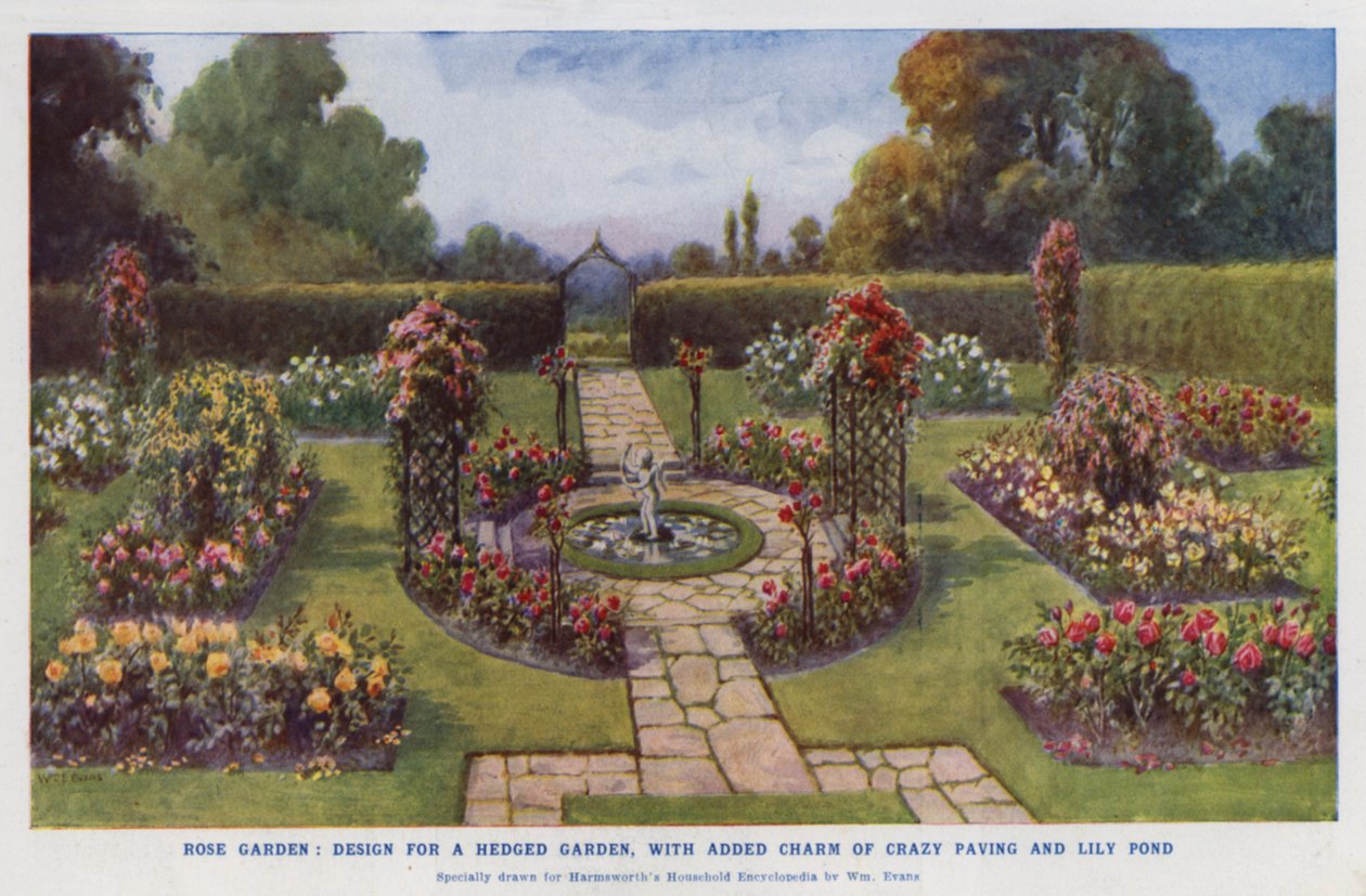 Rozentuin, ontwerp voor een tuin met hagen, met toegevoegde charme van gekke bestrating en lelievijver (kleurenlitho) door English School