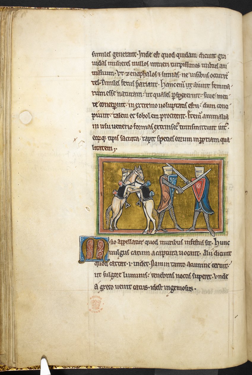 Royal 12 F.XIII, f.42v Twee ridders die te voet vechten met zwaarden, terwijl hun paarden elkaar bevechten op hun achterpoten, uit Bestiarium (ff. 3-141), Lapidarium (ff. 141v-149), 2e kwart van de 13e eeuw (perkament) door English School