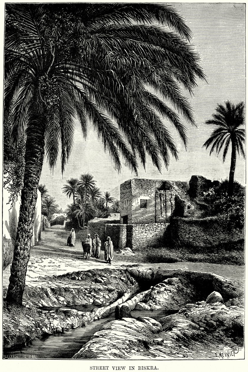 Street View in Biskra (engraving) door English School