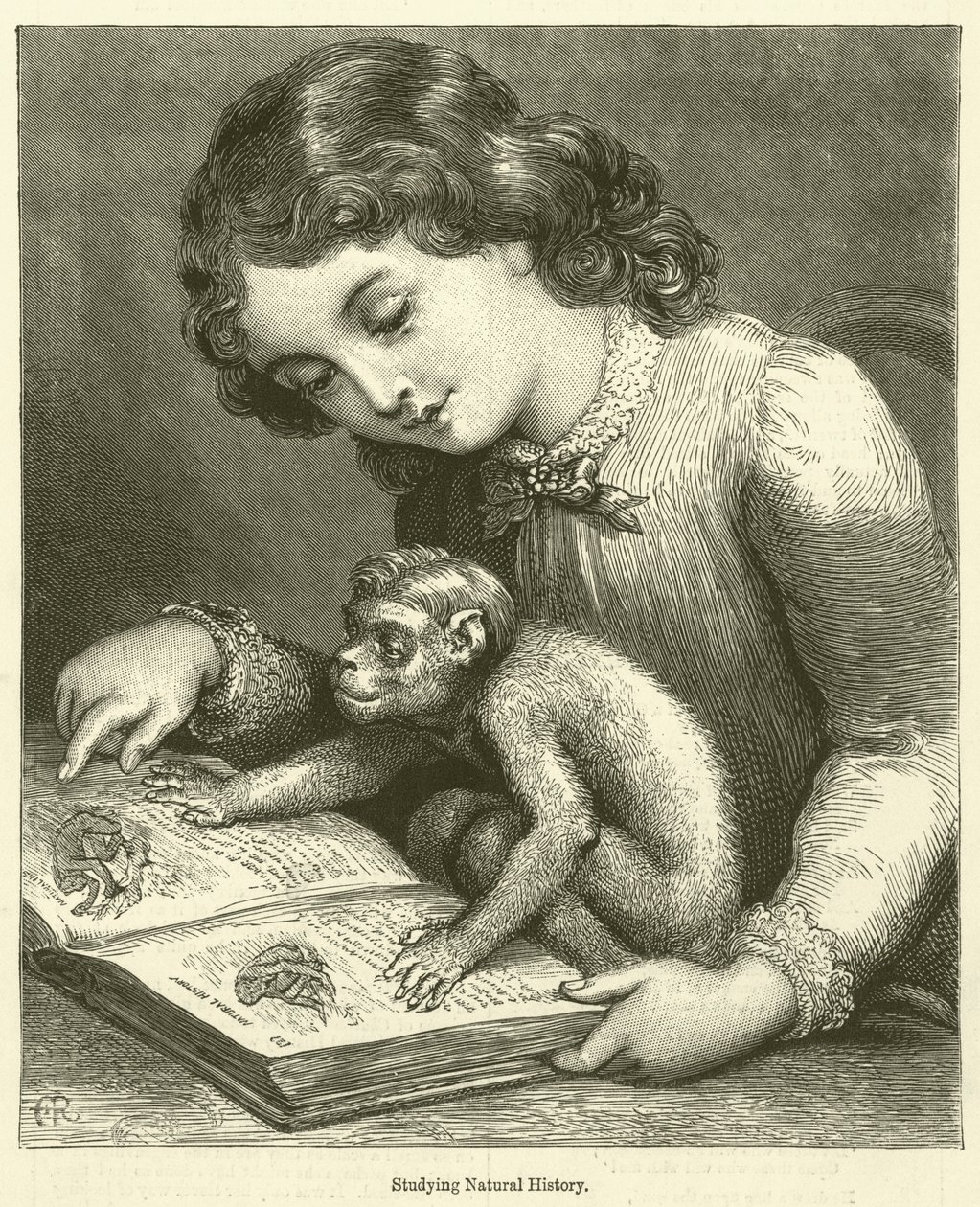 Natuurlijke historie studeren (gravure) door English School