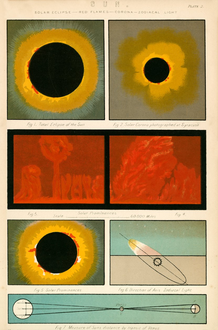 Zon (kleurenlitho) door English School