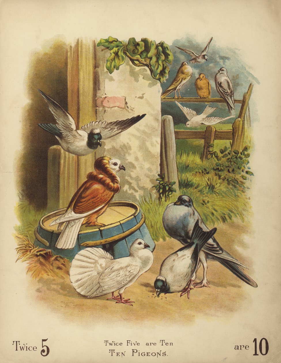Tien duiven (chromolitho) door English School