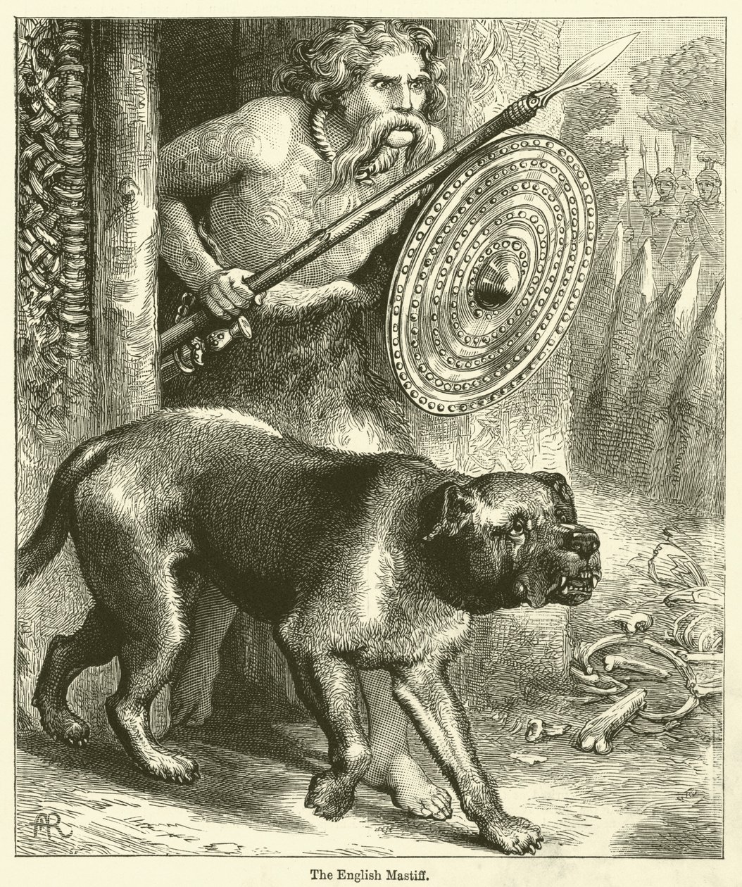 De Engelse Mastiff (gravure) door English School