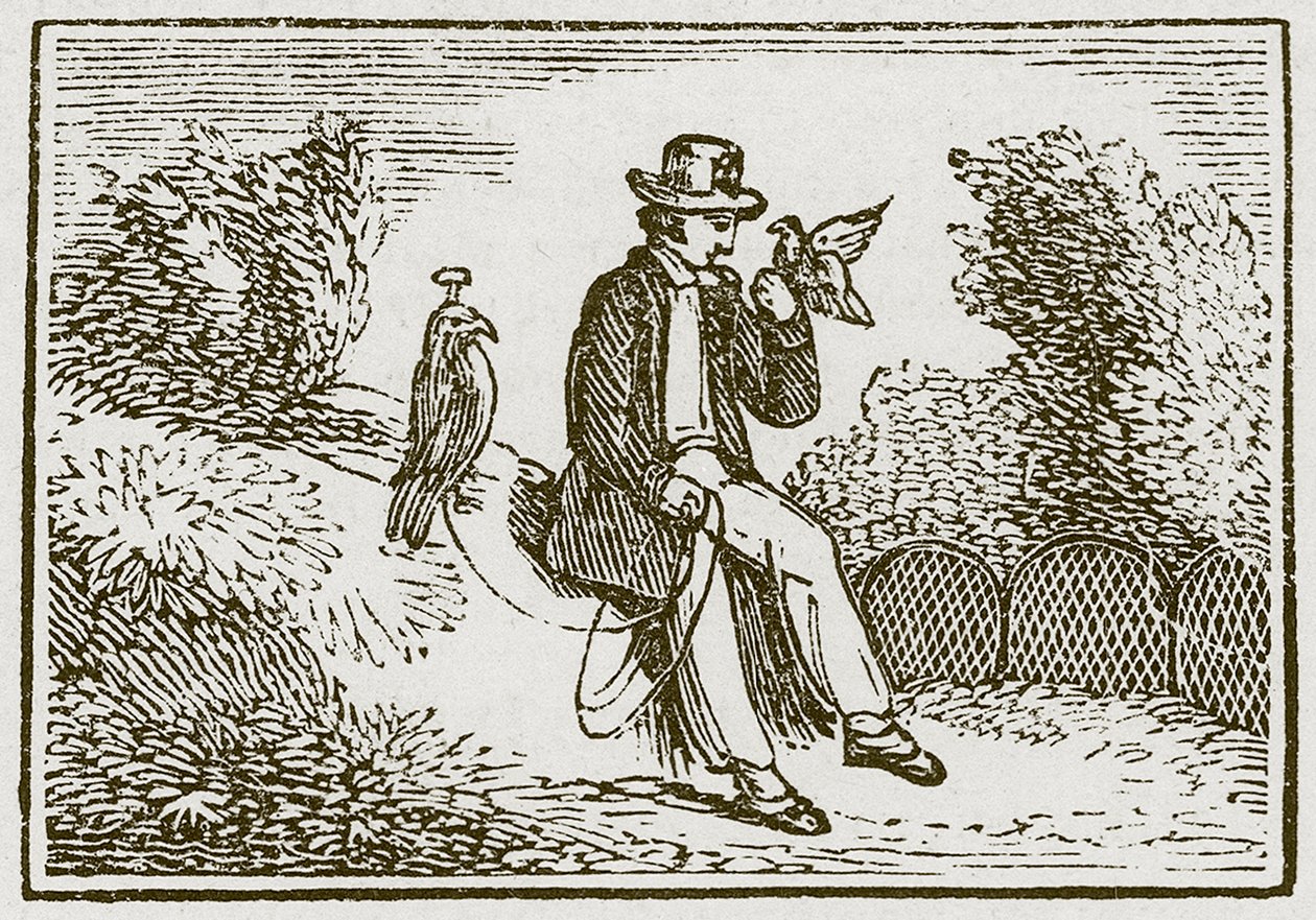 De valkenier en de patrijs (gravure) door English School