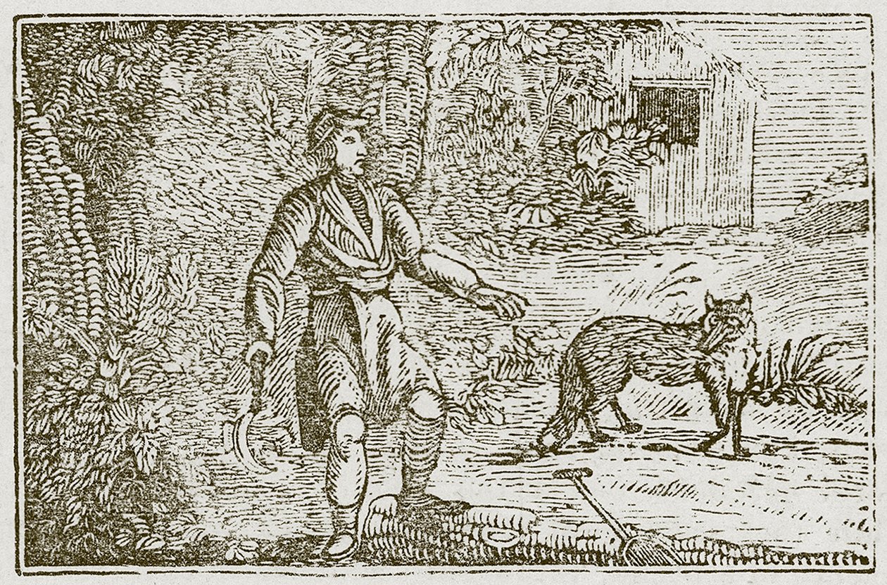 De vos en de landgenoot (gravure) door English School