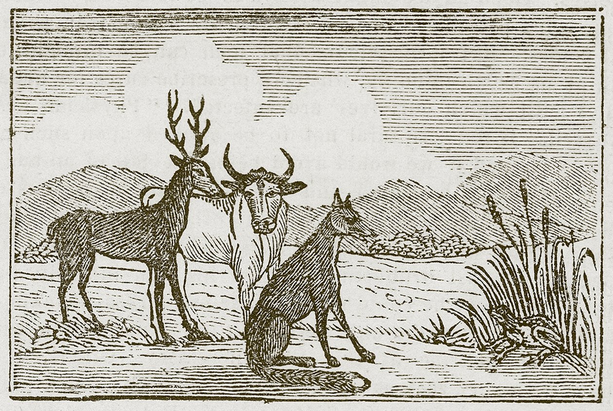 De kikker en de vos (gravure) door English School