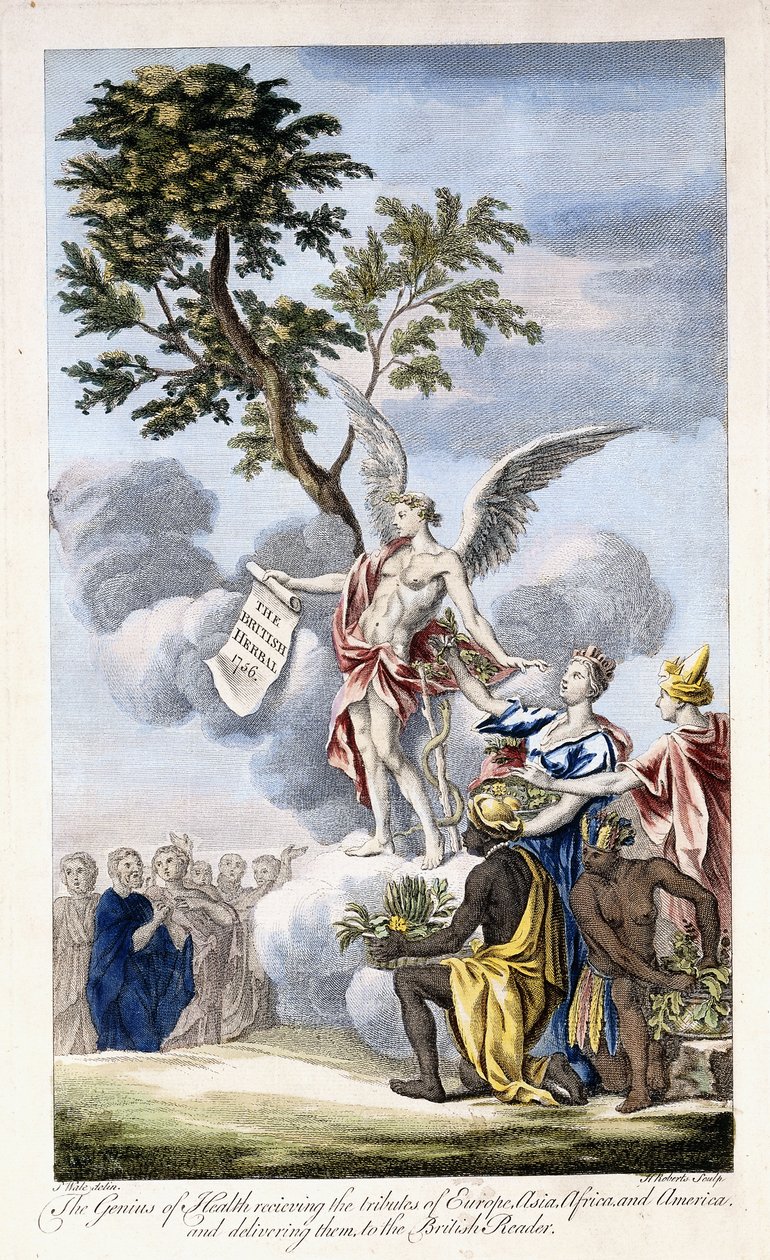 De Genius van Gezondheid ontvangt Europa, Azië, Afrika en Amerika en levert hen aan de Britse lezer, 1756-1757 door English School