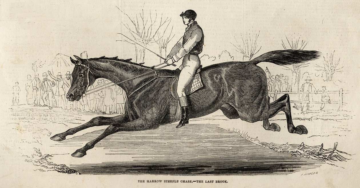 De Harrow Steeple Chase: De laatste beek, uit 