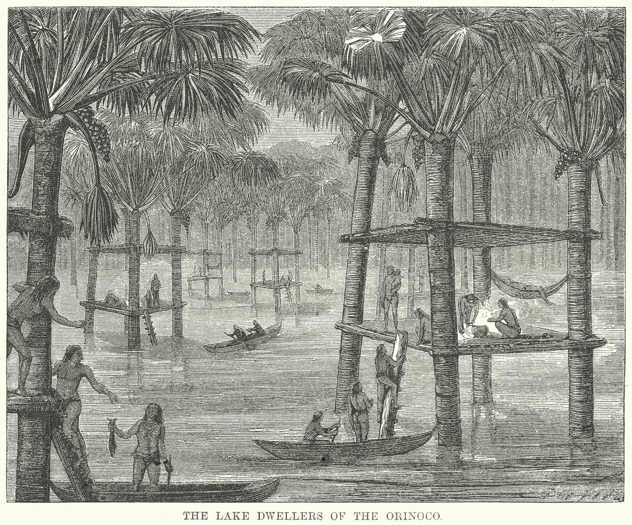 De meerbewoners van de Orinoco (gravure) door English School