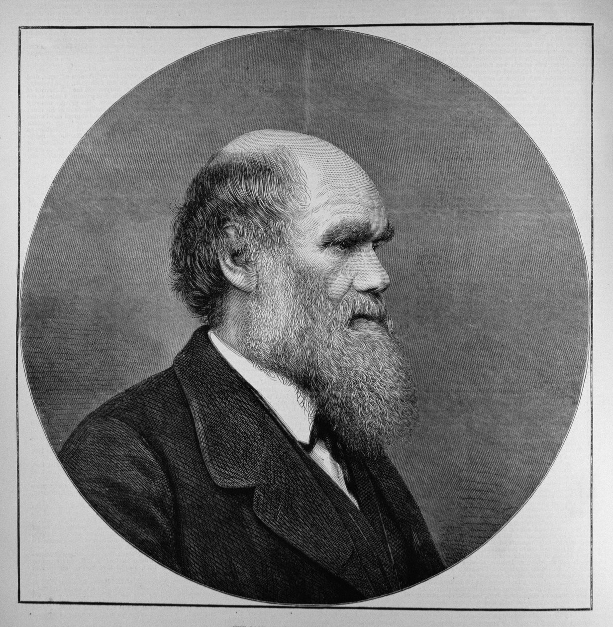 De Laatste Mr. C. R. Darwin, FRS, LLD, uit The Illustrated London News, 29 april 1882 door English School