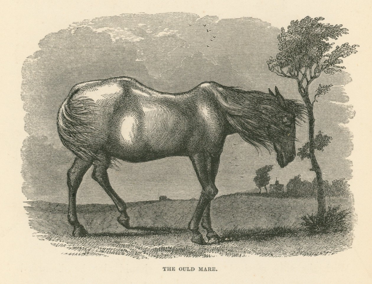 De Ould Mare (gravure) door English School