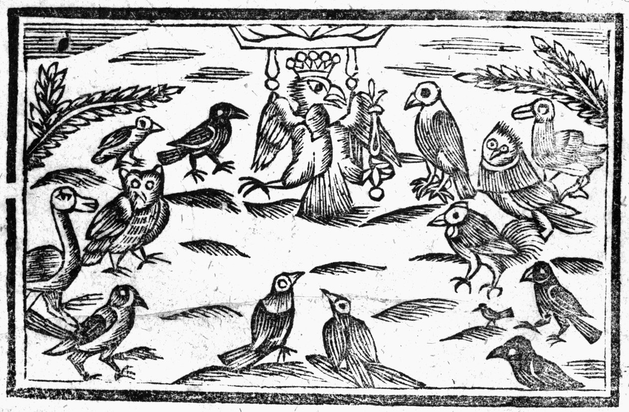 De Boskoorzangers of De Vogels Harmonie, een illustratie uit 