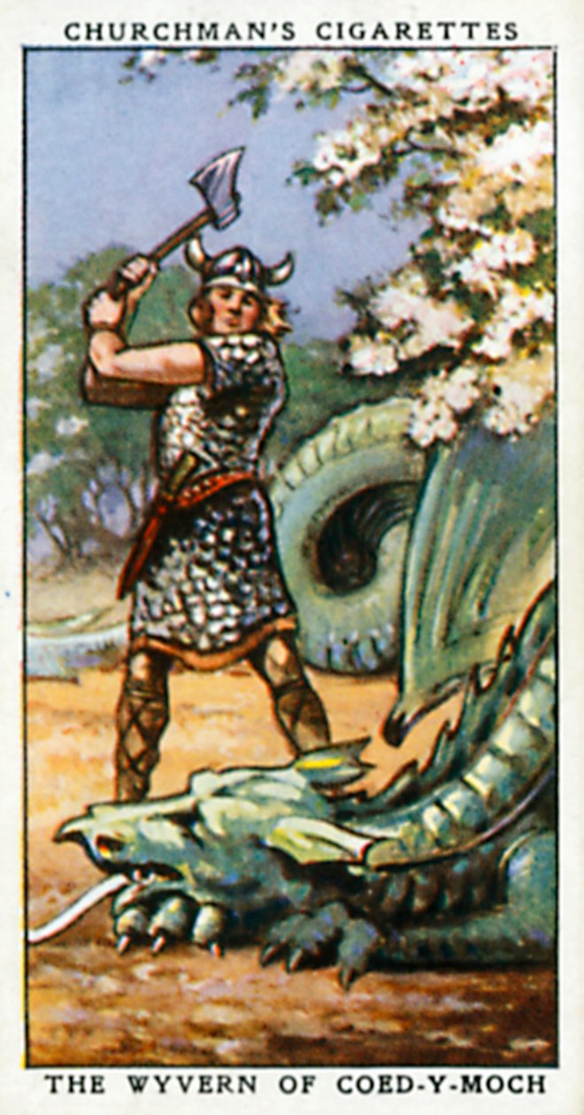 De Wyvern van Coed-Y-Moch (kleurenlitho) door English School