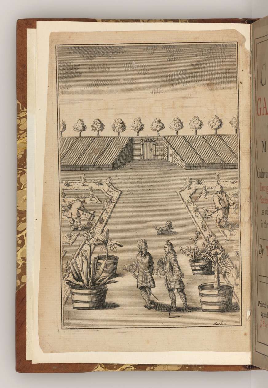 Het frontispice van The City Gardener door Thomas Fairchild door English School